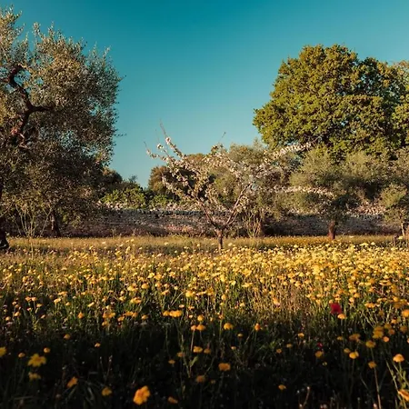 Вилла Lux Apulian Inside Trulli With Unique Pool Кастеллана-Гротте